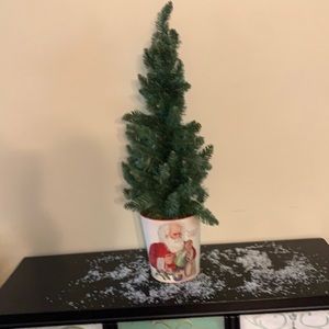 Pot is 8” and tree is 22” new